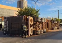 Caminhão que transportava bois tomba em rodovia na Bahia