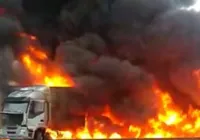 Carreta carregada com bois pega fogo na Bahia; um animal morreu