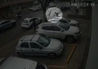 Cervo solto causa confusão em cidade gaúcha e derruba pedestre; VÍDEO