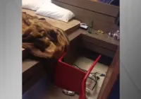 Com chutes e garrafadas, casal destrói quarto de motel; veja