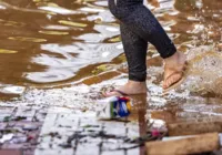 Com recuo da água, Porto Alegre enfrenta lixo na rua, ratos e insetos