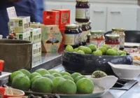 Fruta amada na Bahia é altamente nutritiva; saiba por que consumir imagem