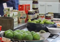 Coopercuc trabalha com frutas nativas do semiárido baiano