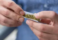 Descriminalização da maconha para uso pessoal teve origem em caso de presidiário nordestino