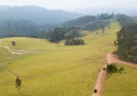 Descubra por que a Serra da Mantiqueira é a nova queridinha do inverno