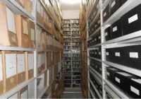 Do passado ao futuro