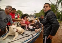 Drama de humanos e animais mobiliza baianos por doação