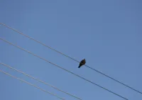 Energia livre, mais barata e sustentável