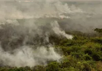 Força Nacional reforça equipe de combate a incêndios no Pantanal