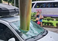 Galho de árvore cai em cima de carro e atravessa para-brisa