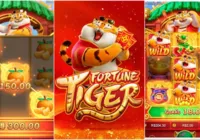 Governo avalia liberar jogo do tigrinho no Brasil