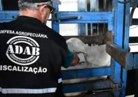 Governo da Bahia convoca inscritos no concurso da Adab para provas
