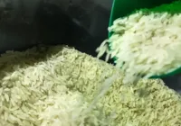 Governo erra ao lançar arroz importado com sua marca!