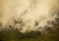 Governo vai liberar R$ 100 mi para combate a incêndios no Pantanal