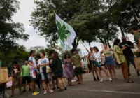 Grupo pró-maconha em Salvador celebra decisão do STF: 'Importante'