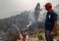 Incêndio florestal deixa cinco mortos e dezenas de feridos na Turquia