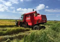 Justiça suspende leilão para compra de arroz importado