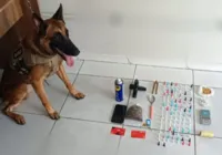 Bandidos batem em ônibus e são encontrados por cão policial na Bahia