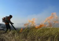 Mato Grosso do Sul decreta situação de emergência no Pantanal