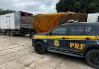 Motorista é detido após desacatar policiais na Bahia