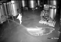 Mulher é demitida de adega e derrama R$ 13 milhões em vinhos