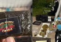 Mulher é presa e laboratório de produção de entorpecentes é localizado