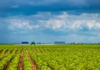 PIB da Bahia cresce 2,9% no 1º trimestre