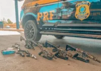 PRF apreende arsenal de armas escondido em carro na Bahia