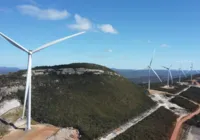 Pan American Energy inaugura Complexo Eólico Novo Horizonte