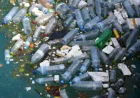 Pesquisa aponta dados alarmantes sobre uso do plástico no Brasil