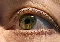 Pesquisa revela que latino-americanos desconhecem doenças da retina