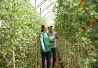 Processo tem vagas para Salvador e interior; salários até R$ 10,7 mil