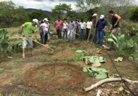 Produtores baianos fabricam de doce à biomassa com flora da caatinga