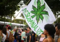 Ativistas deliberam táticas pró-maconha