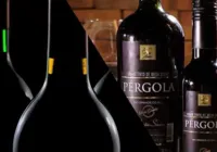 Saiba lista de vinhos baratos para não passar vergonha em restaurante imagem