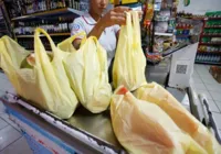 Lei para distribuição de sacolas biodegradáveis gratuitas é sancionada