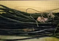 Seis suspeitos são presos e uma tonelada de fios furtados é apreendida