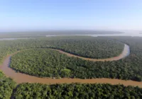 Senado aprova projeto que amplia oferta de voos para Região Amazônica