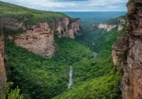 Serra da Chapadinha: Bahia pode ter nova área de conservação ambiental