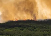 "Uma das piores situações já vistas", diz Marina Silva sobre incêndios imagem