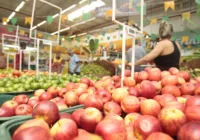 Valor da cesta básica aumenta em Salvador; veja produto mais 'salgado'