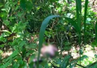Vaqueiro desaparecido é encontrado morto com marcas de violência