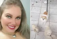 Veterinária é presa após polícia encontrar gato sem cabeça