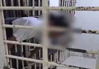 Vídeo: Homem tenta fugir e fica preso entre grades de cela