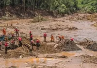 Vítima de tragédia de Brumadinho é identificada após seis anos imagem