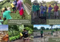 Vítimas resgatadas de exploração no trabalho reconstroem vida na Bahia