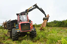 Bracell quer dobrar áreas de soltura de animais - Imagem