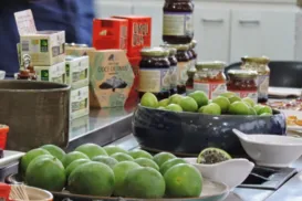 Coopercuc trabalha com frutas nativas do semiárido baiano - Imagem