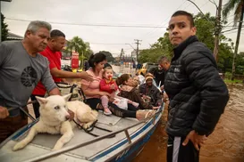 Drama de humanos e animais mobiliza baianos por doação - Imagem