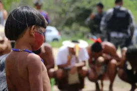 Indígenas são os que possuem territórios mais bem preservados - Imagem
